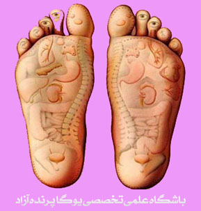,yoga,یوگا,یوگا کرج,یوگا استان البرز,کلاس یوگا,مرکز تخصصی یوگا,باشگاه نمونه یوگا,رفلکسولوژی,بازتاب درمانی,بازتاب شناسی,درمانهای شفابخض,طب کل نگر,درمانهای نامتعارف,باشگاه تخصصی یوگا پرنده آزاد کرج, ,yoga,یوگا,یوگا کرج,یوگا استان البرز,کلاس یوگا,مرکز تخصصی یوگا,باشگاه نمونه یوگا,رفلکسولوژی,بازتاب درمانی,بازتاب شناسی,درمانهای شفابخض,طب کل نگر,درمانهای نامتعارف,باشگاه تخصصی یوگا پرنده آزاد کرج,